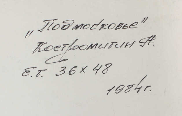 Костромитин Андрей Николаевич. Подмосковье